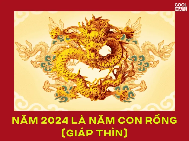 Năm 2024 là năm con Rồng