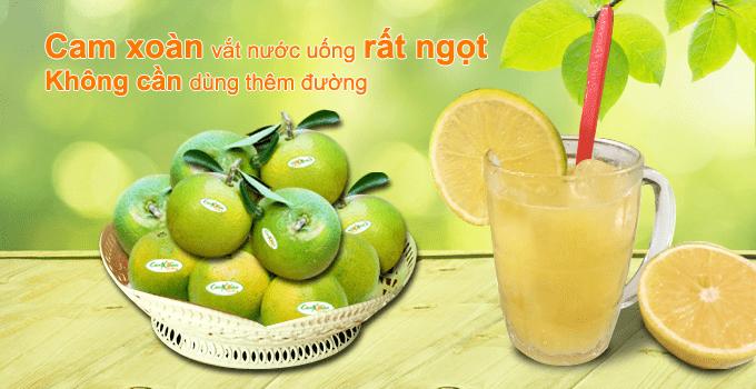 Tất Tần Tật Về Cam Xoàn | Hoa Quả Sạch Fuji Fruit | Hệ thống hoa quả sạch nhập khẩu Fuji