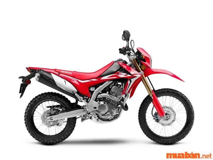 Xe cào cào 250cc