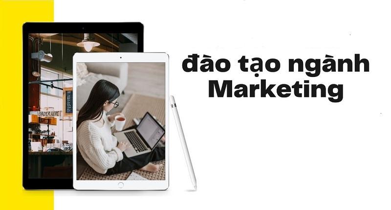 Ngành học Marketing có thời gian đào tạo bao lâu?