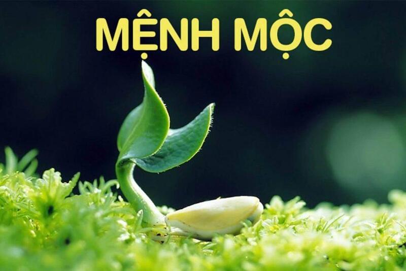 năm sinh thuộc mệnh Mộc