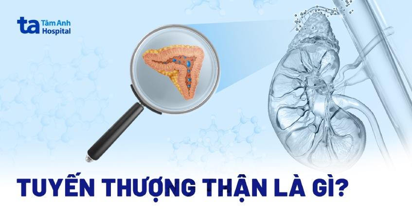 tuyến thượng thận