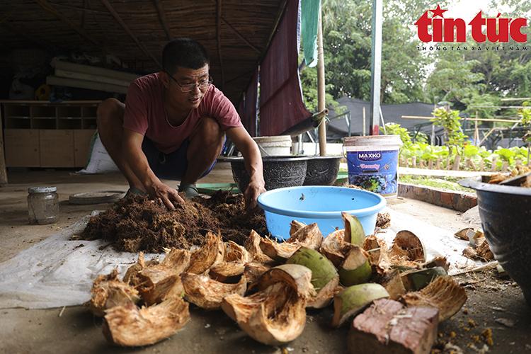 Nuôi đuông dừa ngay giữa Thủ đô