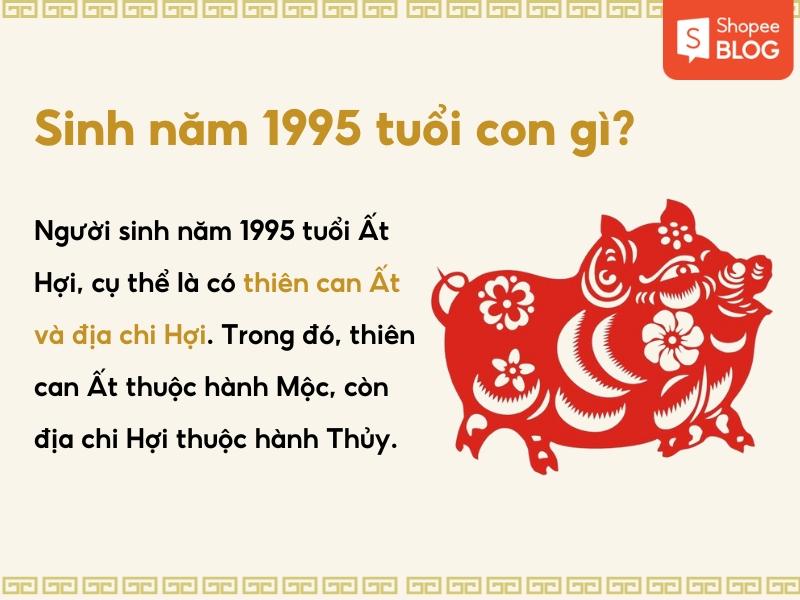 Người sinh năm 1995 tuổi Hợi