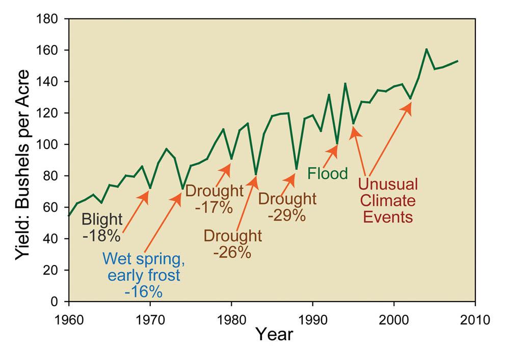Line graph that shows the yield in bushels per acre by year. The map calls out several events that caused significant declines in yield. Blight, wet spring and early frost, droughts, flood, and unusual climate events caused as much as 29 percent declines in yield. The data ranges from 1960 to 2010 and over that period of time the trend shows that the yield per acre has risen from approximately 60 to 150 bushels per acre.