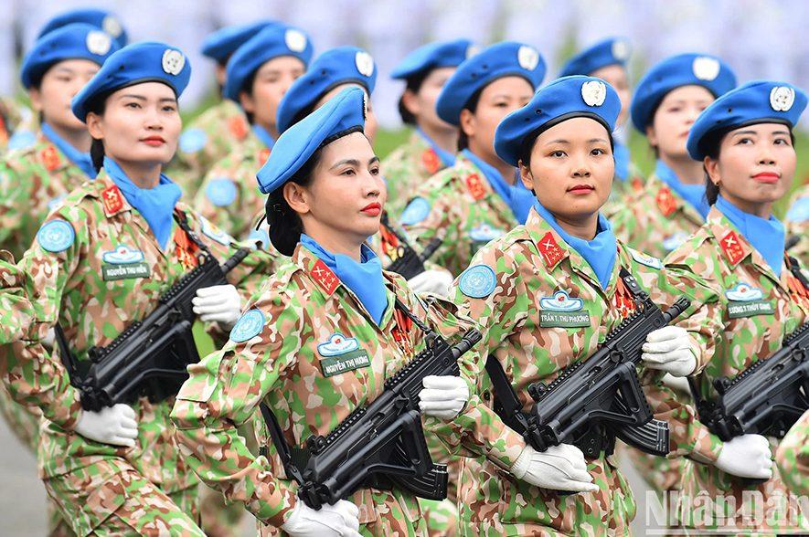 bộ đội Việt Nam