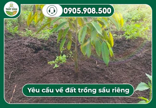 Yêu cầu về đất trồng sầu riêng