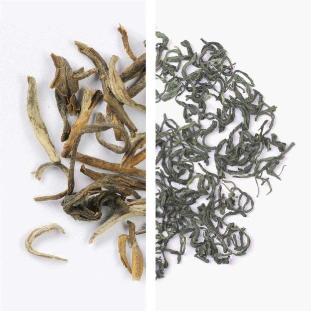 Trà cổ thụ, trà nõn tôm