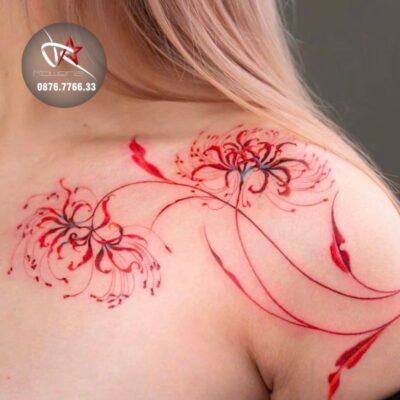 nguồn gốc của hoa bỉ ngạn