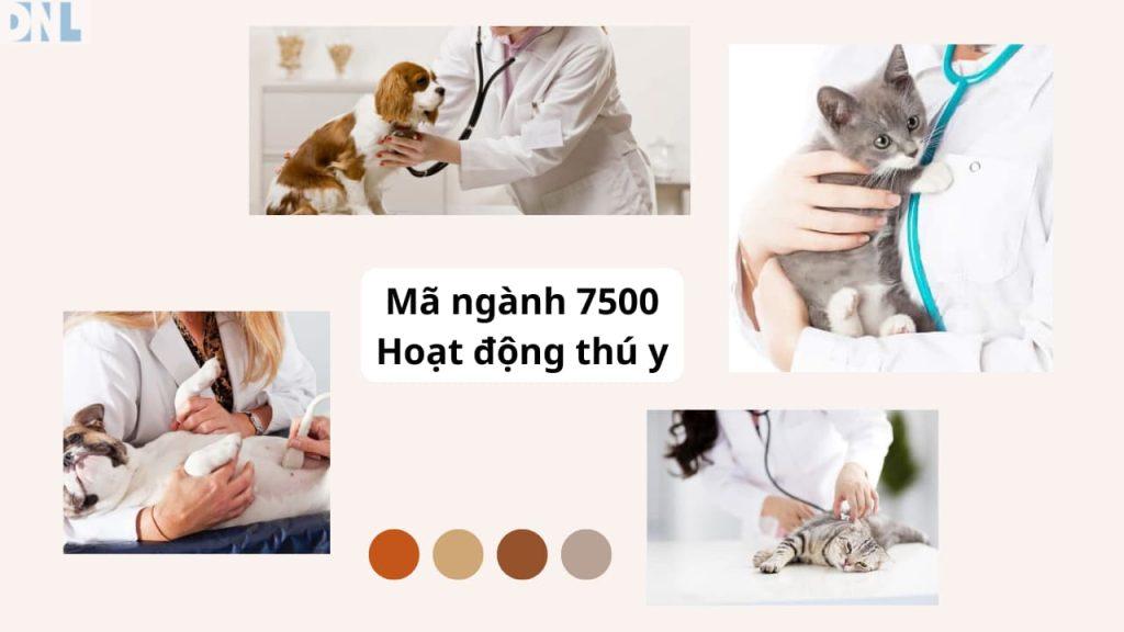 Ma nganh 7500 Hoat dong thu y
