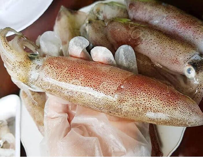 Mực Ống tươi