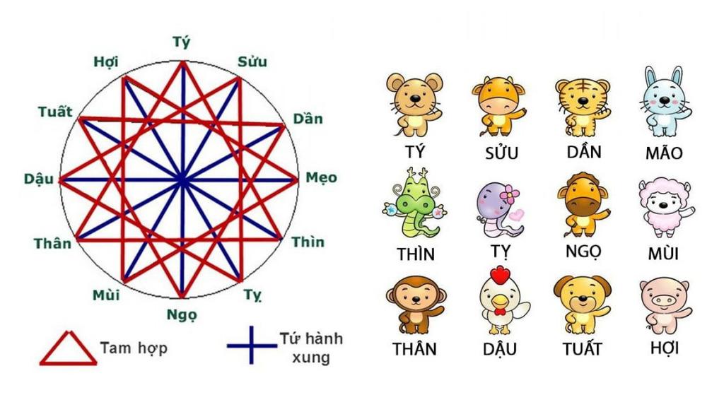 Tam hợp là gì