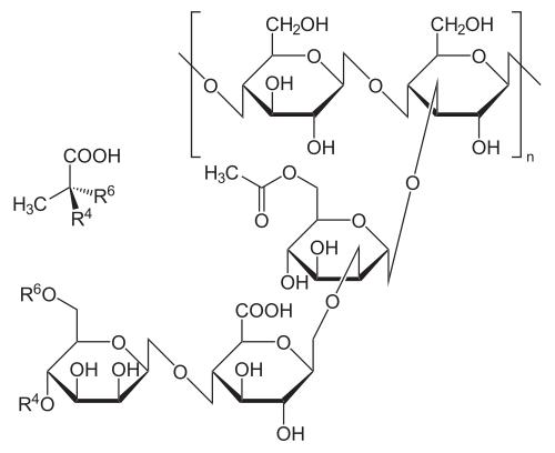 Xanthan gum