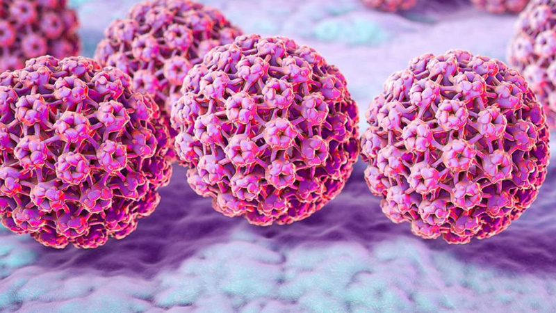 Virus HPV có ở đâu? Virus HPV tồn tại ngoài môi trường bao lâu? 1