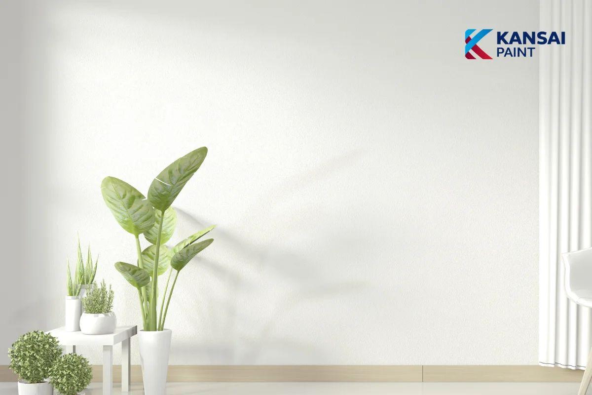Chồng Mệnh Kim Vợ Mệnh Mộc Sơn Nhà Màu Gì
