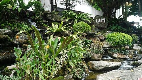 University of Malaya