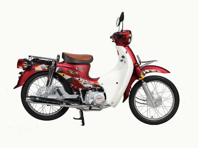 Xe Cub 81 Halim 50CC 2020 do man 4