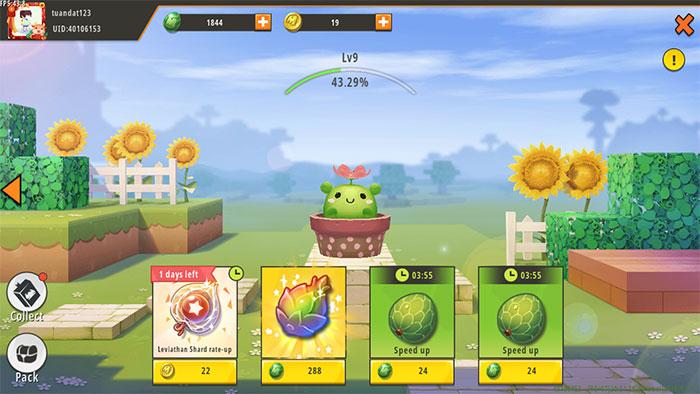 Cách thu thập tiền xu trong Mini World: CREATA