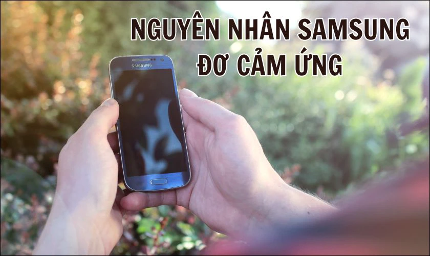 Nguyên nhân dẫn đến điện thoại Samsung bị lỗi đơ cảm ứng